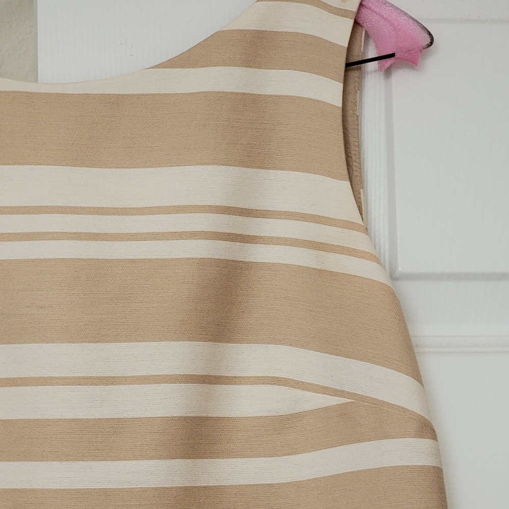 Banana Republic Tan and Cream Striped Boatneck Shift Dress, Size 2 - Picture 4 of 16
